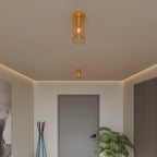 Modern Glass Ceiling Light With Hardwired LED Light
