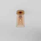 Modern Glass Ceiling Light With Hardwired LED Light