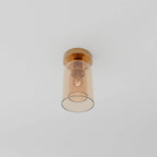 Modern Glass Ceiling Light With Hardwired LED Light