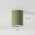 Modern Metal Flush Mount Ceiling Light in Colour B — Ashbury Home & Living