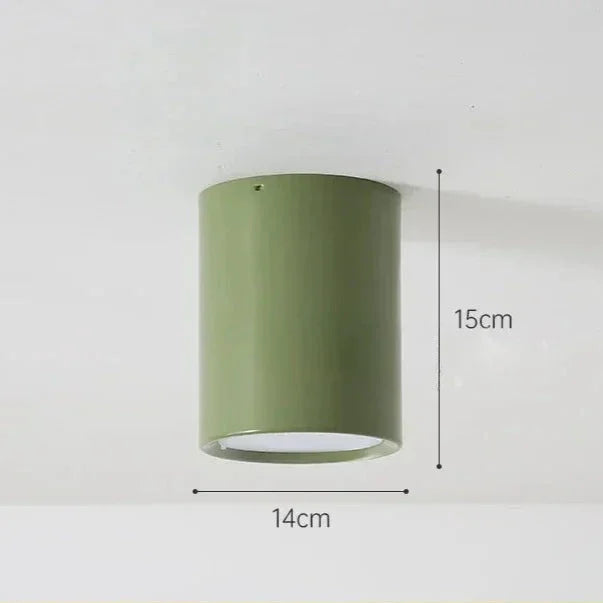 Modern Metal Flush Mount Ceiling Light in Colour B — Ashbury Home & Living