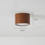 Modern Metal Flush Mount Ceiling Light in Colour C — Ashbury Home & Living