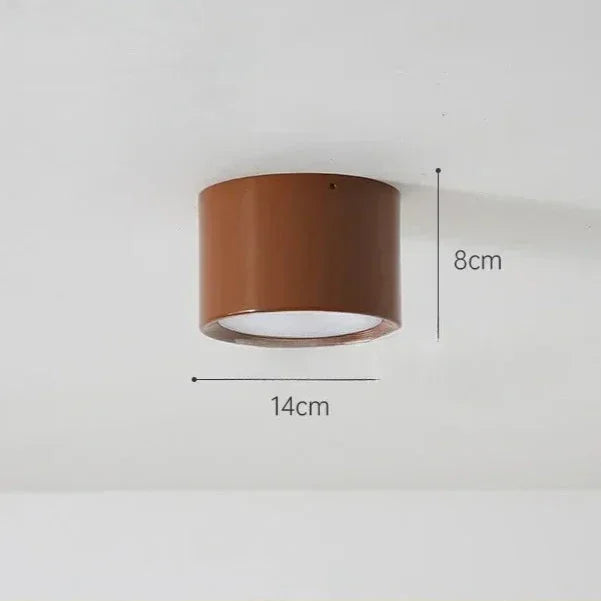 Modern Metal Flush Mount Ceiling Light in Colour C — Ashbury Home & Living
