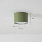Modern Metal Flush Mount Ceiling Light in Colour B — Ashbury Home & Living