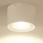 Nordic Cylinder LED Ceiling Spotlight Surface Mounted Downlight for Hallway