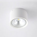 Nordic Cylinder LED Ceiling Spotlight Surface Mounted Downlight for Hallway