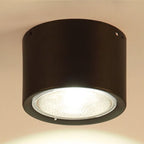 Nordic Cylinder LED Ceiling Spotlight Surface Mounted Downlight for Hallway