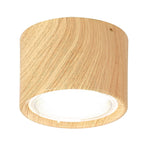 Nordic Cylinder LED Ceiling Spotlight Surface Mounted Downlight for Hallway