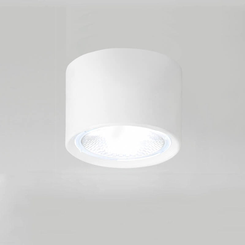 Nordic Cylinder LED Ceiling Spotlight Surface Mounted Downlight for Hallway