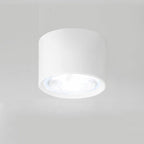 Nordic Cylinder LED Ceiling Spotlight Surface Mounted Downlight for Hallway