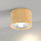 Nordic Cylinder LED Ceiling Spotlight Surface Mounted Downlight for Hallway