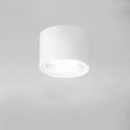 Nordic Cylinder LED Ceiling Spotlight Surface Mounted Downlight for Hallway