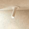 Minimalist Aluminium Ceiling Light LED Light With Cylindrical Shade