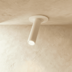 Minimalist Aluminium Ceiling Light LED Light With Cylindrical Shade