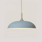 Aluminium Dome Pendant Lights With Wooden Stem