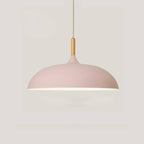 Aluminium Dome Pendant Lights With Wooden Stem