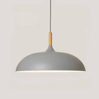 Aluminium Dome Pendant Lights With Wooden Stem