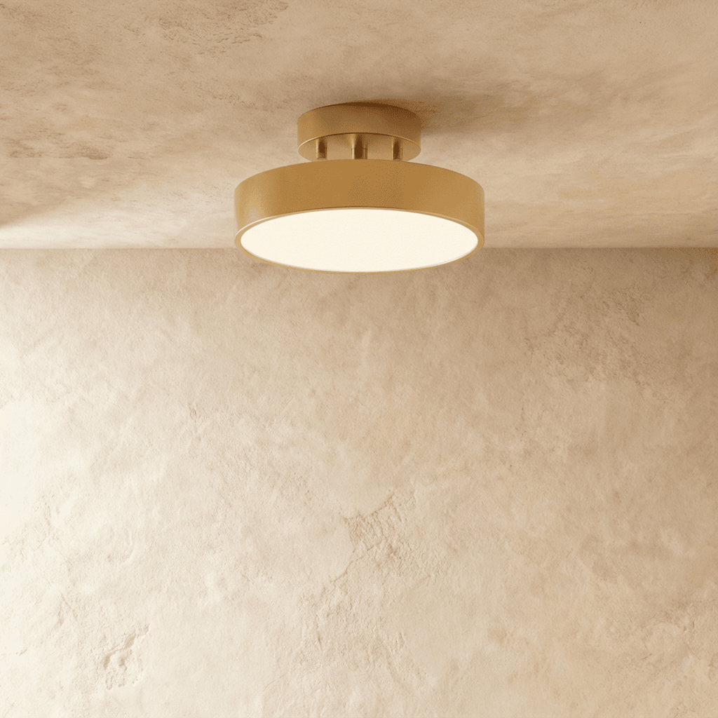 Modern Iron Flush Mount Ceiling Light LED Light With Wide Voltage Compatibility