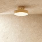 Modern Iron Flush Mount Ceiling Light LED Light With Wide Voltage Compatibility