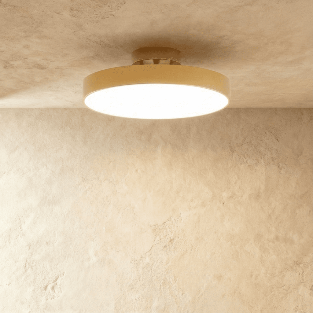 Modern Iron Flush Mount Ceiling Light LED Light With Wide Voltage Compatibility