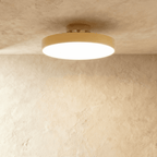 Modern Iron Flush Mount Ceiling Light LED Light With Wide Voltage Compatibility