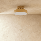 Modern Iron Flush Mount Ceiling Light LED Light With Wide Voltage Compatibility