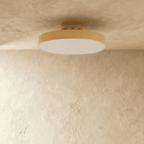 Modern Iron Flush Mount Ceiling Light LED Light With Wide Voltage Compatibility