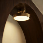Modern Iron Flush Mount Ceiling Light LED Light With Wide Voltage Compatibility