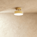 Modern Iron Flush Mount Ceiling Light LED Light With Wide Voltage Compatibility