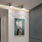 Scandinavian Macaron LED Flush Mount Ceiling Light with Wood Trim for Hallway