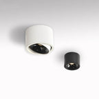 Surface Mounted LED Ceiling Spotlight with Adjustable Head for Living Room