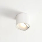 Surface Mounted LED Ceiling Spotlight with Adjustable Head for Living Room