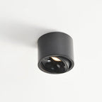 Surface Mounted LED Ceiling Spotlight with Adjustable Head for Living Room