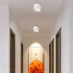 Surface Mounted LED Ceiling Spotlight with Adjustable Head for Living Room
