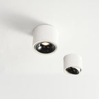 Surface Mounted LED Ceiling Spotlight with Adjustable Head for Living Room