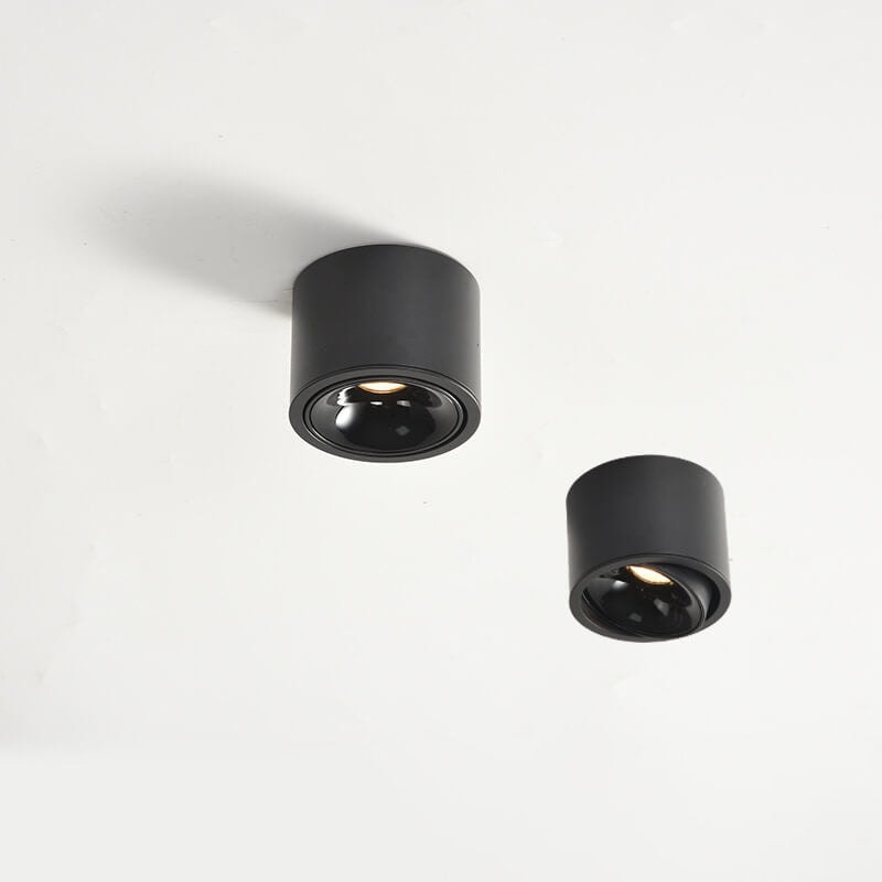 Surface Mounted LED Ceiling Spotlight with Adjustable Head for Living Room