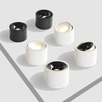 Surface Mounted LED Ceiling Spotlight with Adjustable Head for Living Room