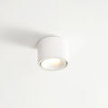 Surface Mounted LED Ceiling Spotlight with Adjustable Head for Living Room