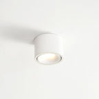 Surface Mounted LED Ceiling Spotlight with Adjustable Head for Living Room