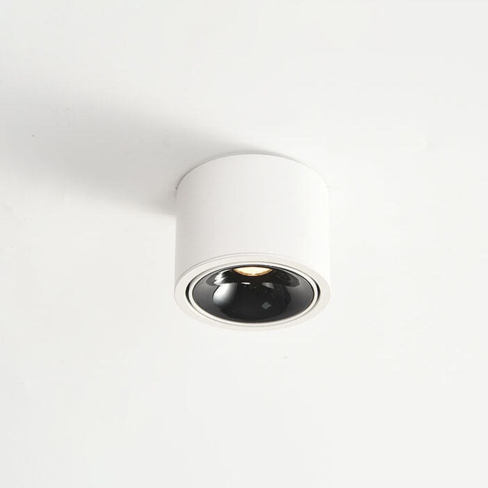 Surface Mounted LED Ceiling Spotlight with Adjustable Head for Living Room