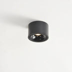 Surface Mounted LED Ceiling Spotlight with Adjustable Head for Living Room
