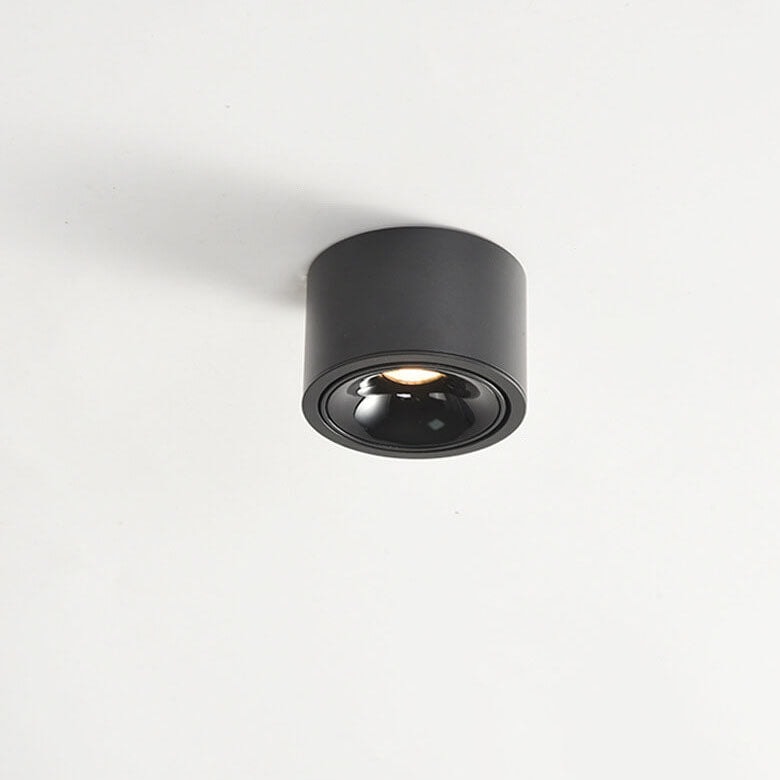 Surface Mounted LED Ceiling Spotlight with Adjustable Head for Living Room